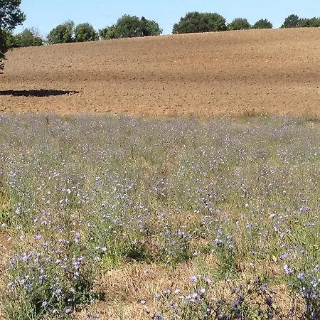 Couette-café Il Soffio Di Eolo Bagnoregio
