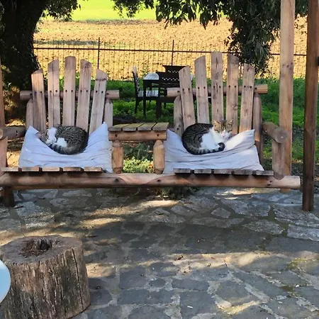 Couette-café Il Soffio Di Eolo Bagnoregio