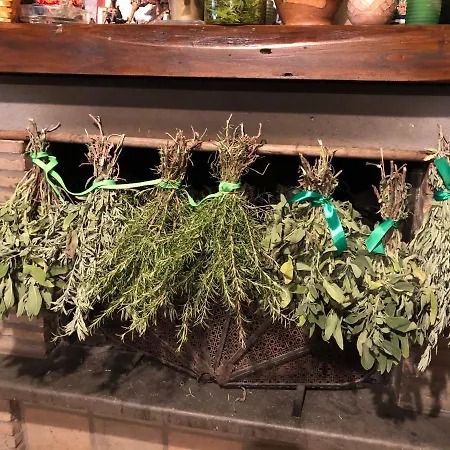 Couette-café Il Soffio Di Eolo 3*